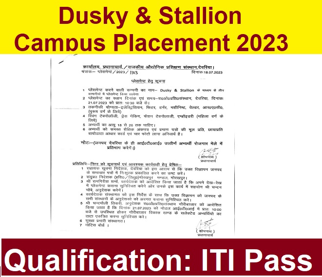 Dusky & Stallion Campus Placement 2023
