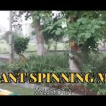 Arihant Spinning Mill Campus Placement 2024