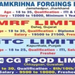 MRF Limited & 3 Others Company Campus Placement 2024