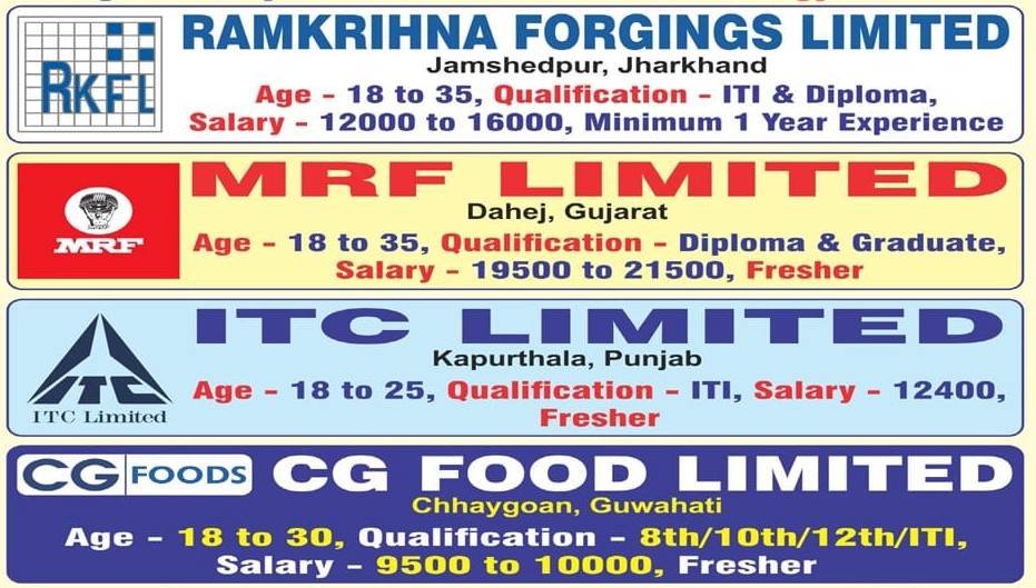 MRF Limited & 3 Others Company Campus Placement 2024